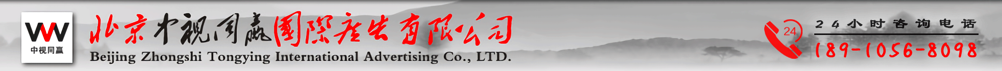 中视同赢新logo