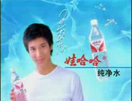 <strong>2001年-2002年娃哈哈:多元发展</strong>