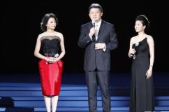 央视2012推介会群星汇集借鉴美国预售模式(图)