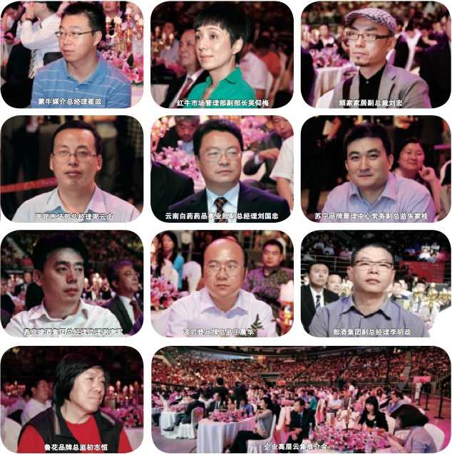 企业高层云集央视推介会