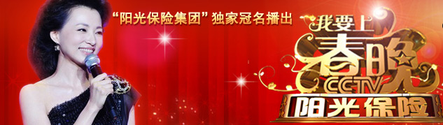 我要上春晚广告价格