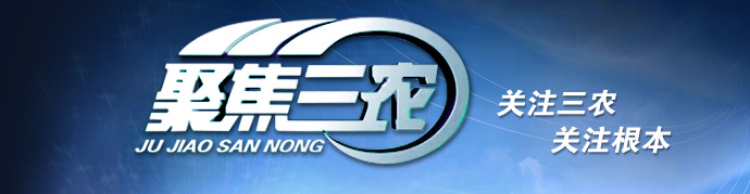 聚焦三农广告价格