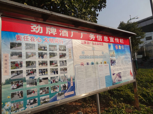 央视广告行业分析-做文明劲牌人
