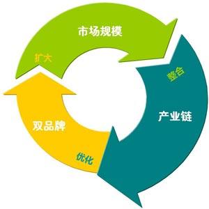 ▲“双品牌”循环图