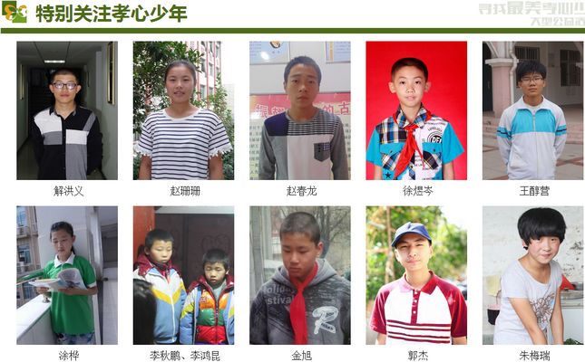 广告行业要闻-【2.44%】昨晚收视哪家强？孝心少年冠双网