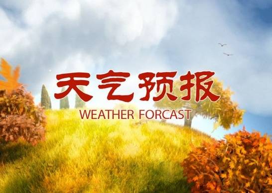 央视首次针对行业创新