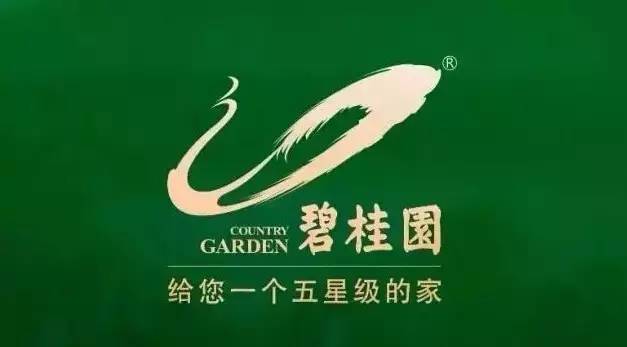 央视广告行业新闻-碧桂园：善用央视影响力，企业价值突飞猛进