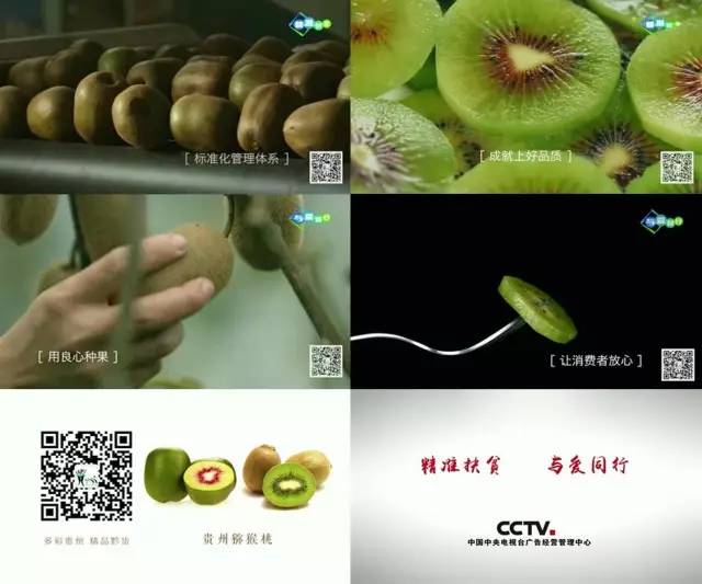 央视广告行业新闻-新华网：“广告精准扶贫”助推黔货出山