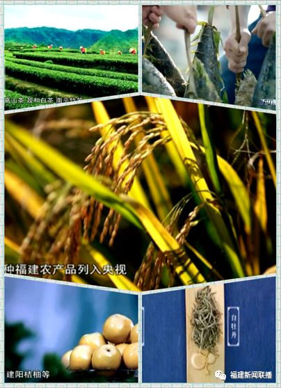 央视广告行业新闻-央视免费为这7件福建“宝贝”做广告，效果怎么样？