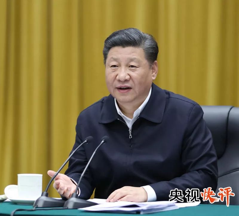 央视广告行业新闻-【央视快评】建设生态优先绿色发展的黄金经济带