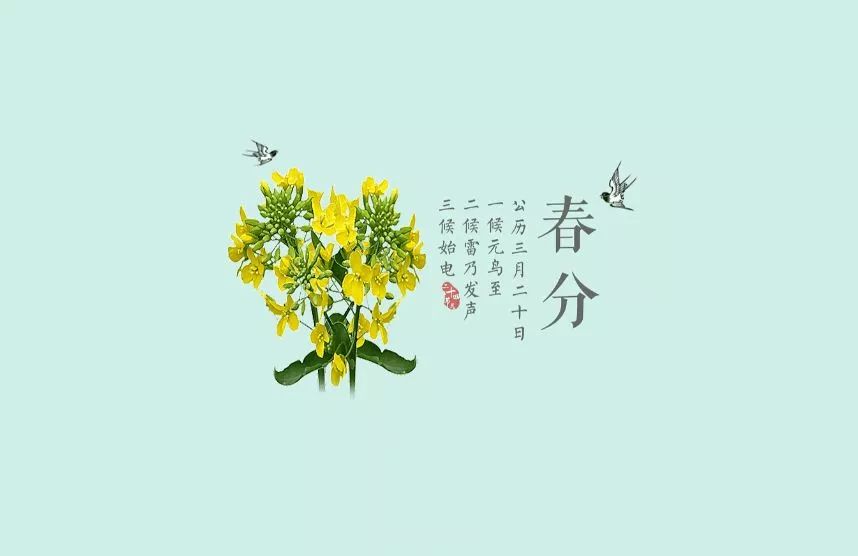 央视广告行业新闻-春分至，燕归来