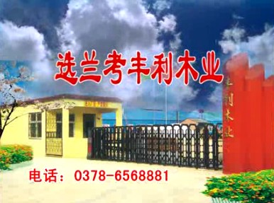 工厂类央视广告客户-工厂类——丰利木业5秒_央视广告片