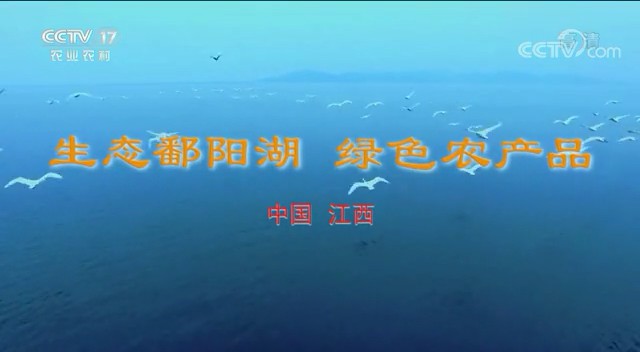 城市形象类央视广告客户-城市形象——江西集群CCTV-17_央视广告片