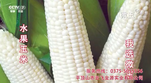 食品类央视广告客户-食品——微玉玉米CCTV-7_央视广告片