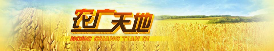 农广天地广告价格