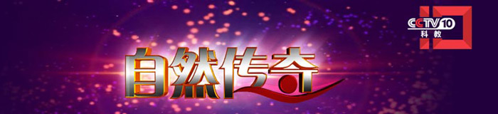 自然传奇广告价格