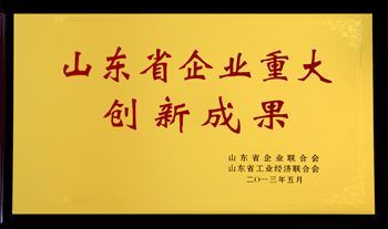 央视广告行业分析-史丹利获“第四届山东省企业重大创新成果”