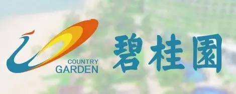 央视广告行业新闻-碧桂园：1-7月销售位列行业第一，完成全年70%目标