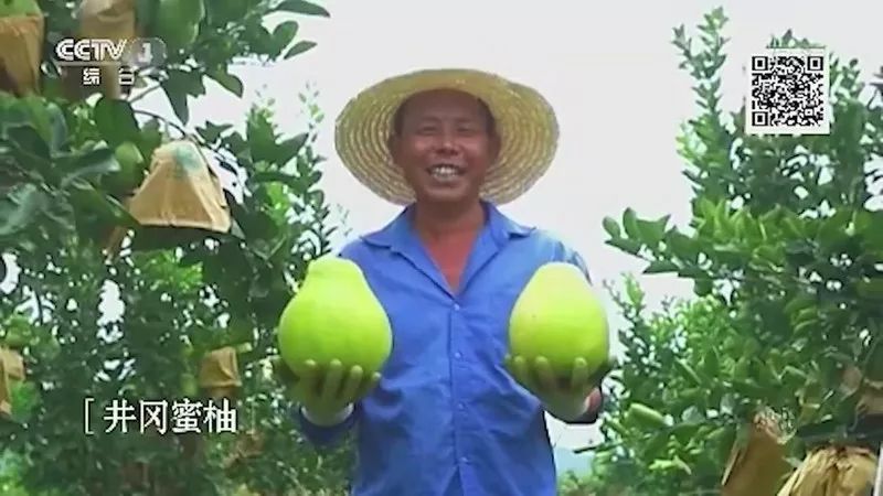 央视广告行业新闻-央视央广集中播！快来为你家乡特色农副产品打call!