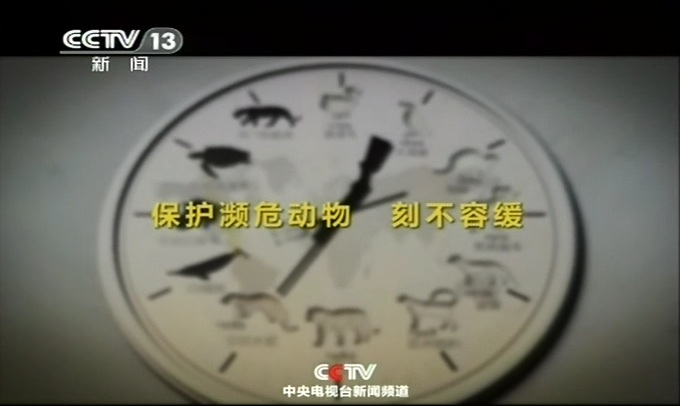 央视广告片-央视公益广告_保护濒危动物 刻不容缓